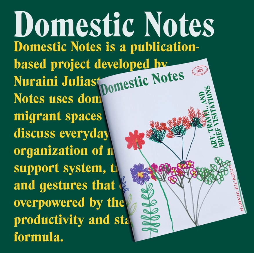 Domestic Notes