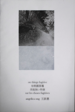  on things fugitive《如朝露暮霭》「果敢無い物事」«sur les choses fugitives»