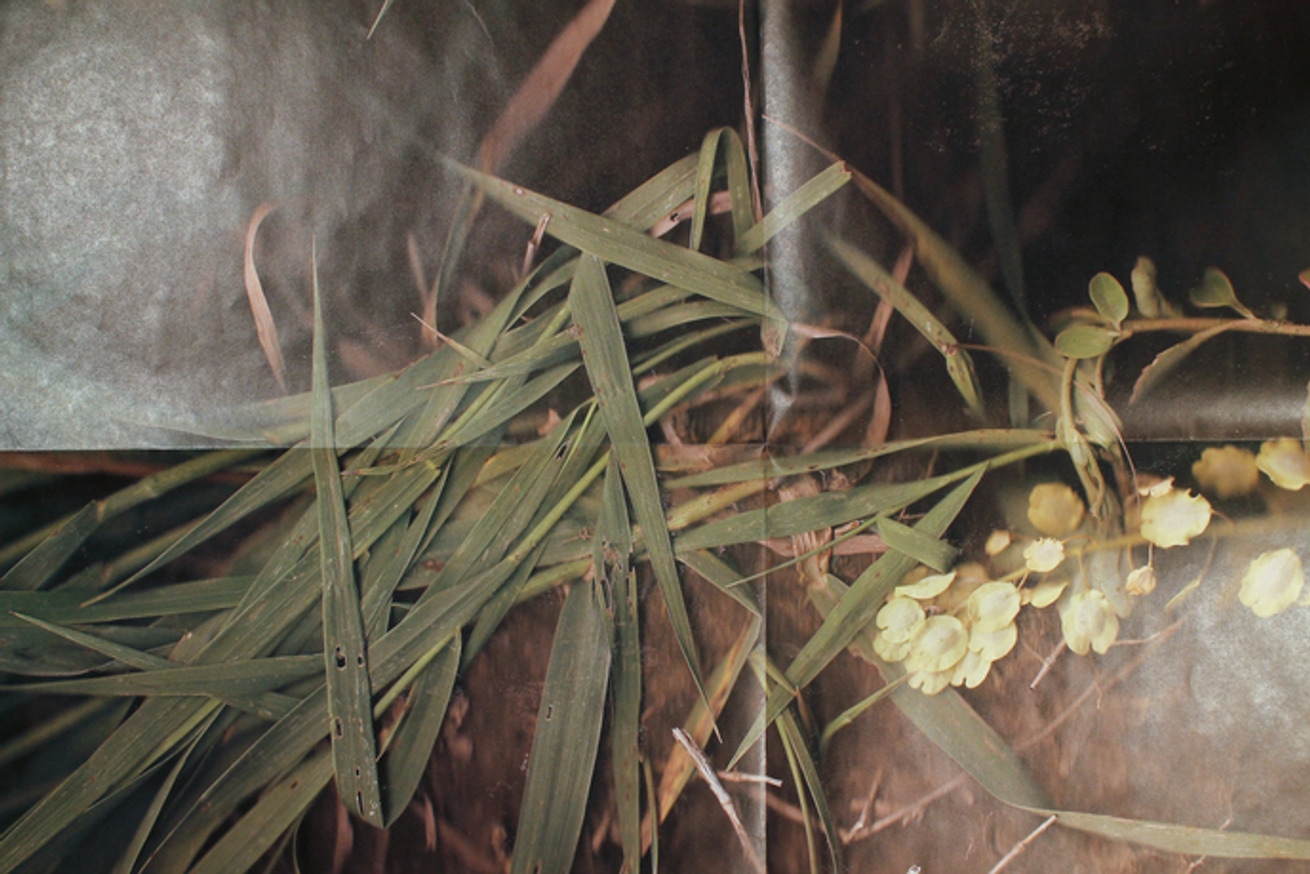 Chad Rutter - Scanned Land - Printed Matter