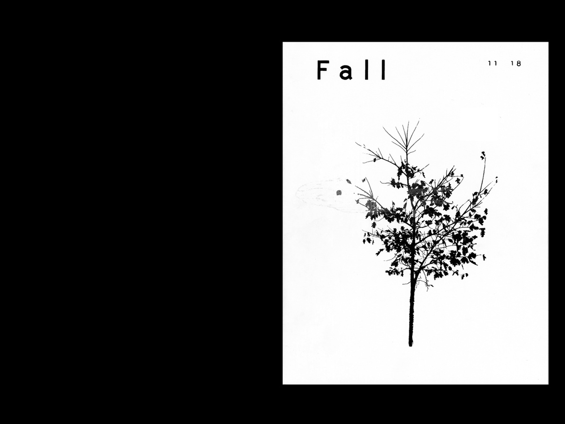 Fall