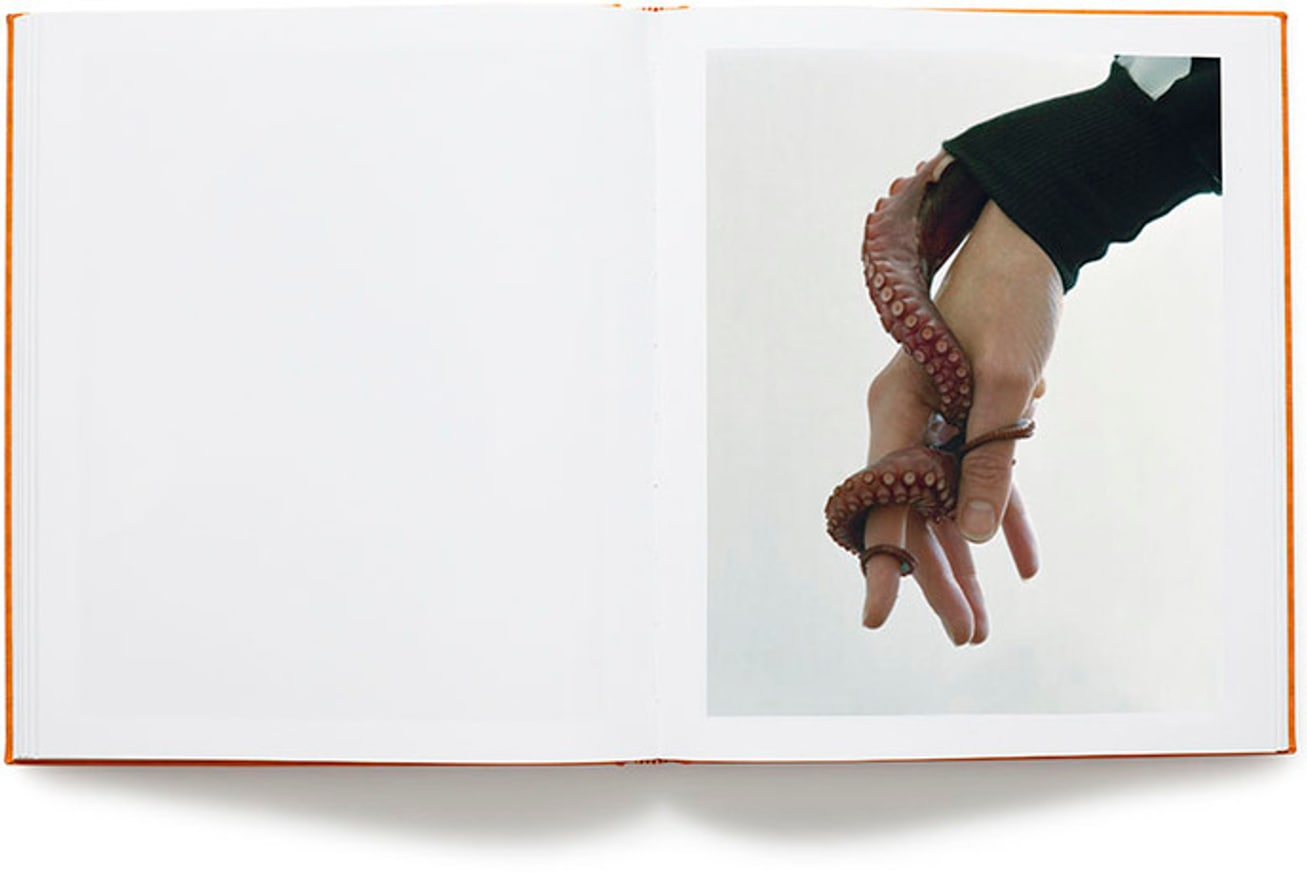 VANILLA PARTNER - Torbjørn Rødland Torbjørn Rødland - Vanilla Partner - Publications - David