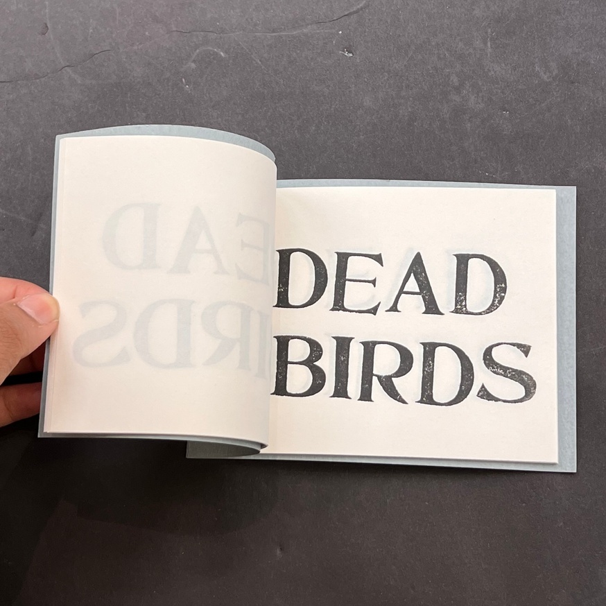 Dead Birds thumbnail 2