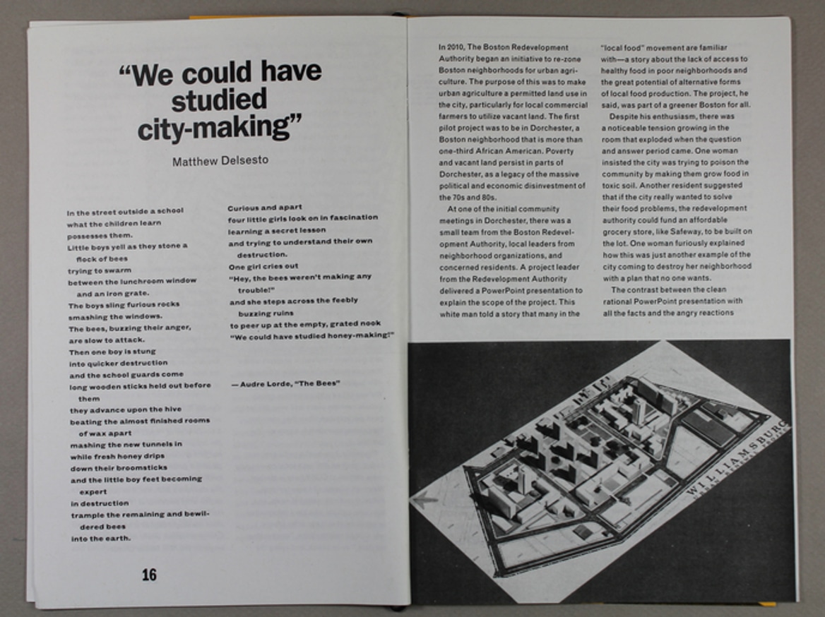 Paula Z. Segal, editor - Urban Reviewer Reader - Printed Matter