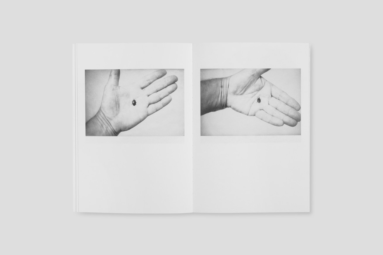 Jochen Lempert - Local Ecology: Moulin des Ribes - Printed Matter