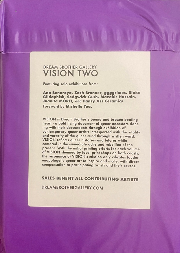 VISION TWO thumbnail 6