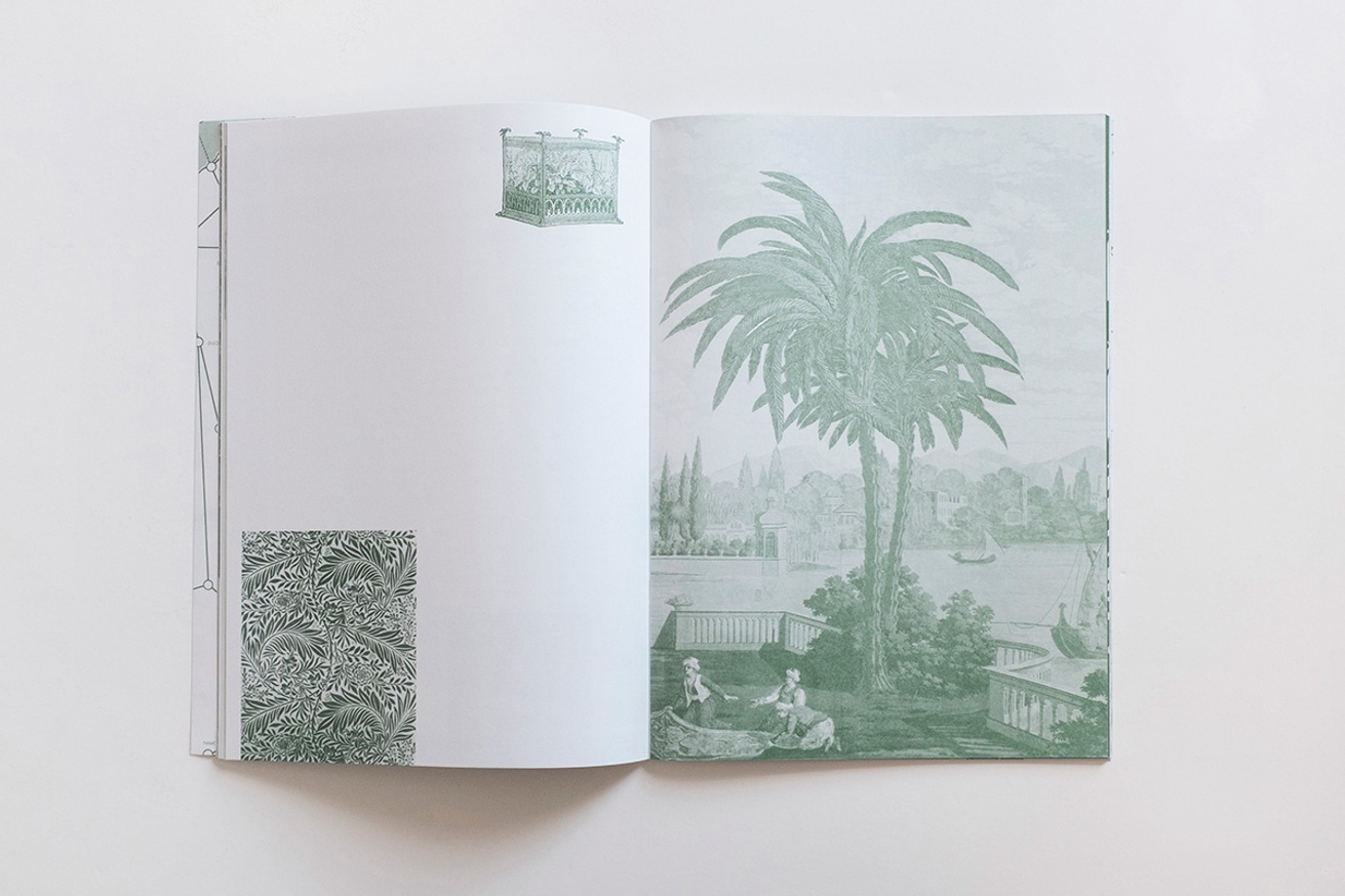 Palm Tree Studies in South Tyrol and Beyond thumbnail 3
