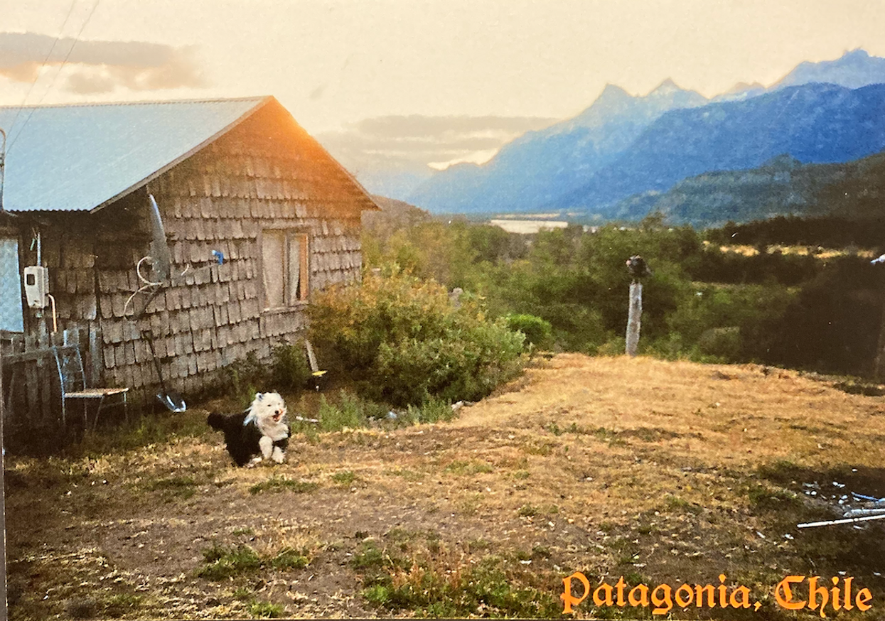 Patagonia, Chile Postcard