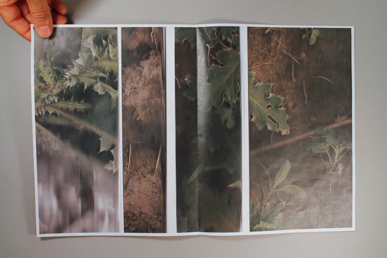 Chad Rutter - Scanned Land - Printed Matter
