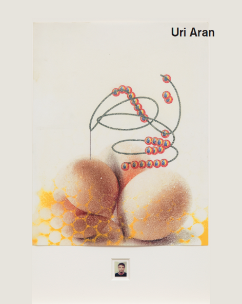 Solo by Uri Aran  - Book launch & discussion with Stuart Comer