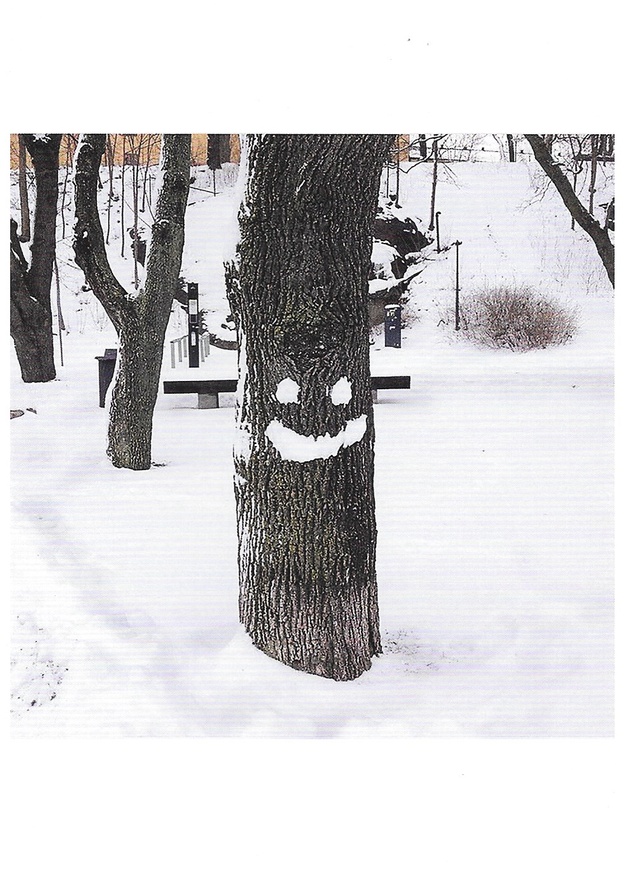 Smiling Tree, Sweden, 2014 Greeting Card