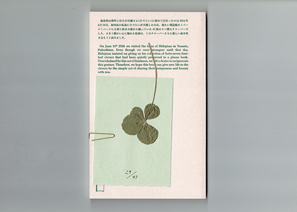 forty-seven four-leaf clovers from hidejisan thumbnail 2