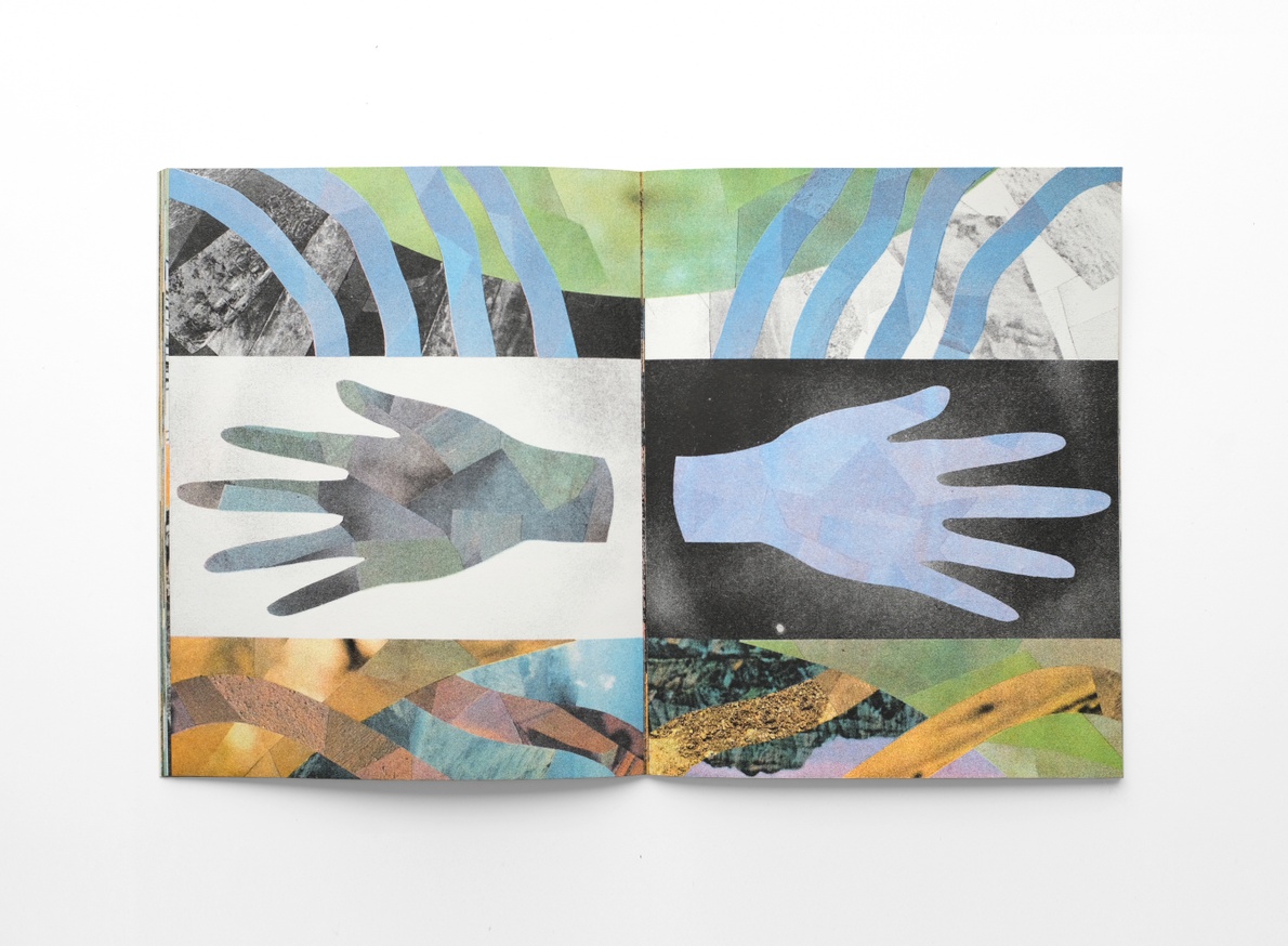 Stone Fruit thumbnail 6