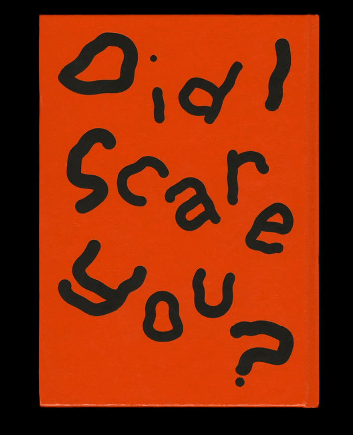 Did I Scare You? thumbnail 2