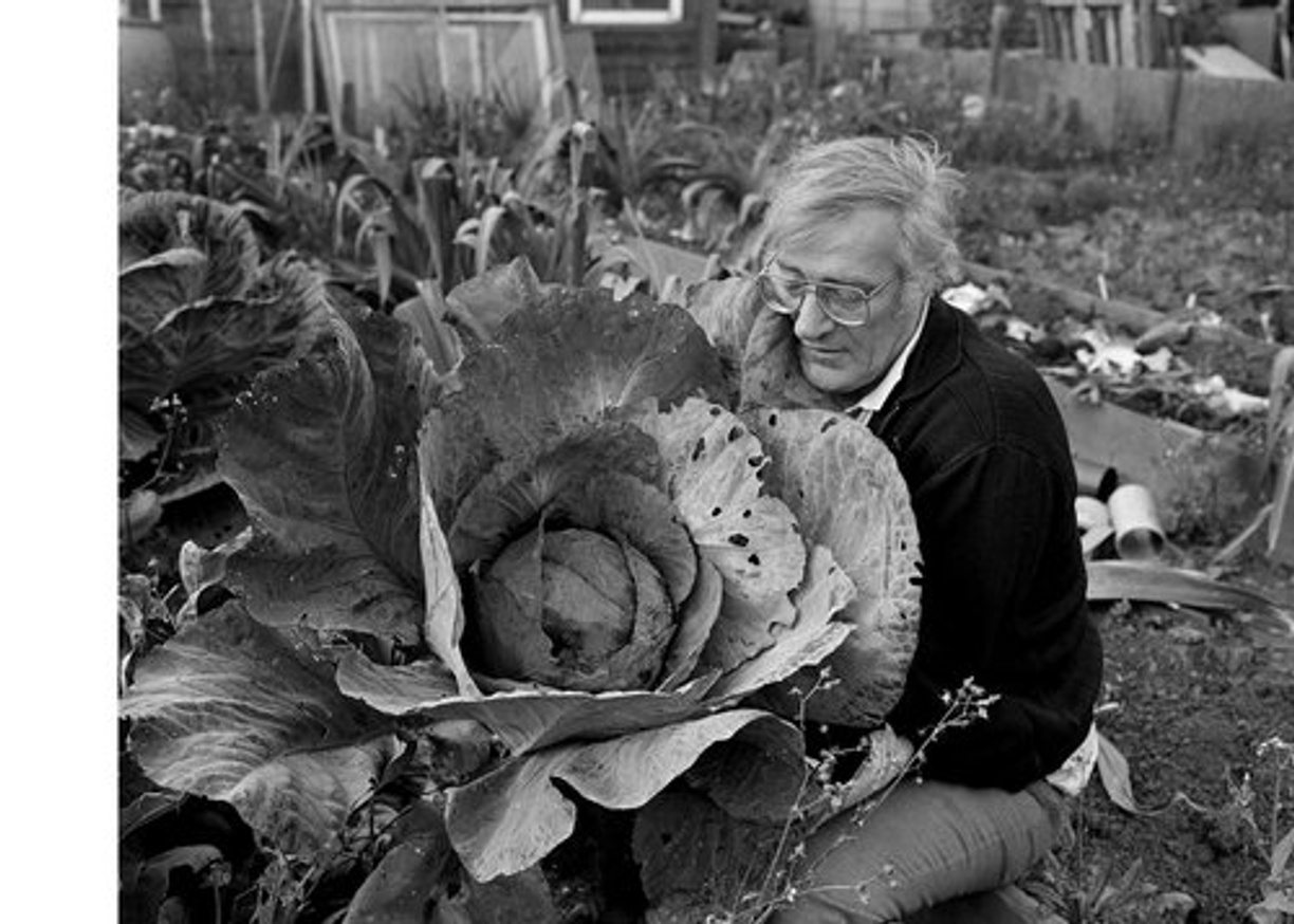 Allotments Newcastle upon Tyne 1992 thumbnail 3