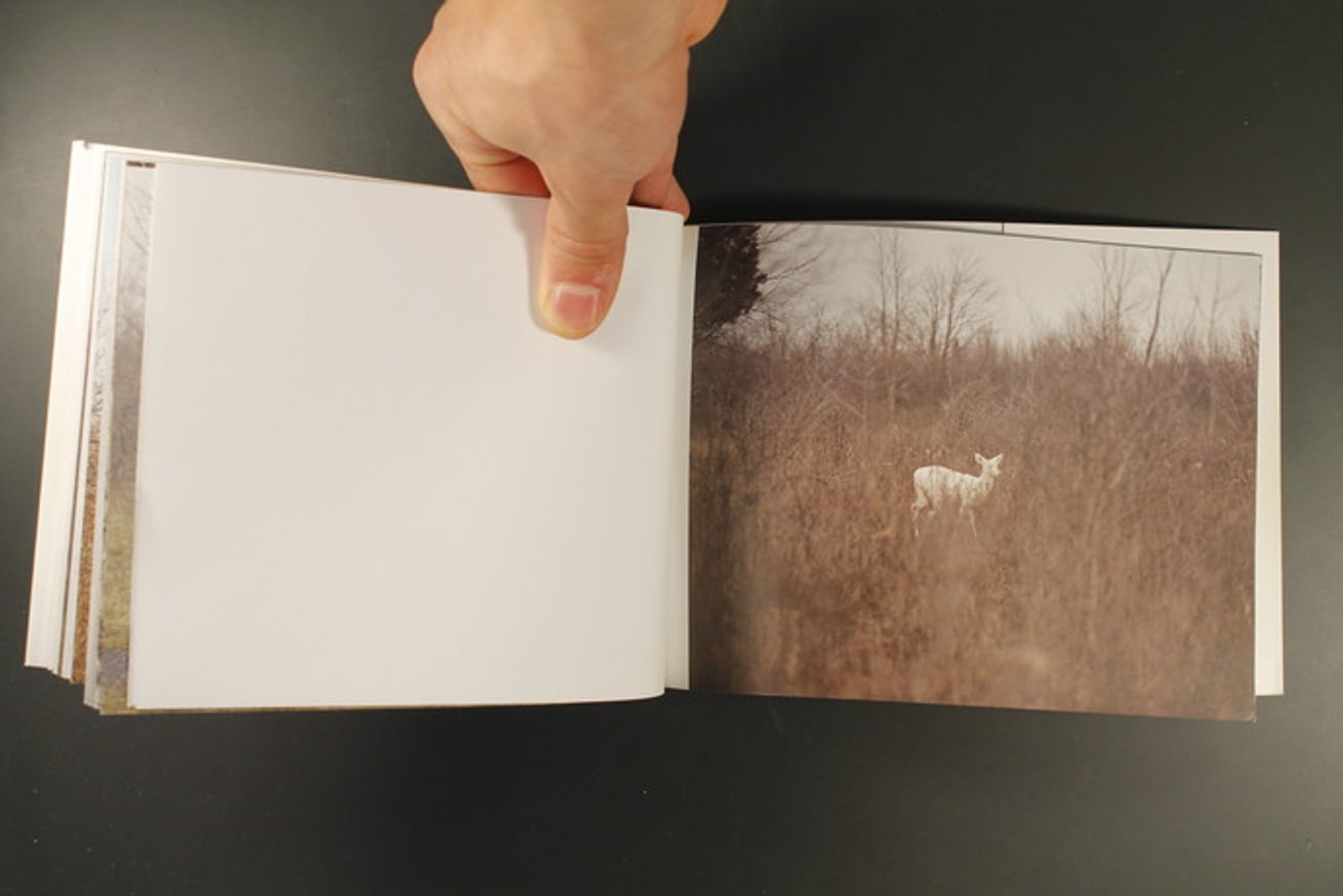 Danielle Mericle - Seneca Ghosts - Printed Matter