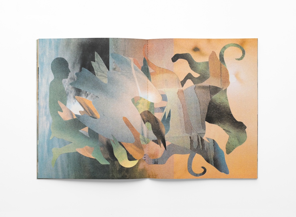 Stone Fruit thumbnail 5