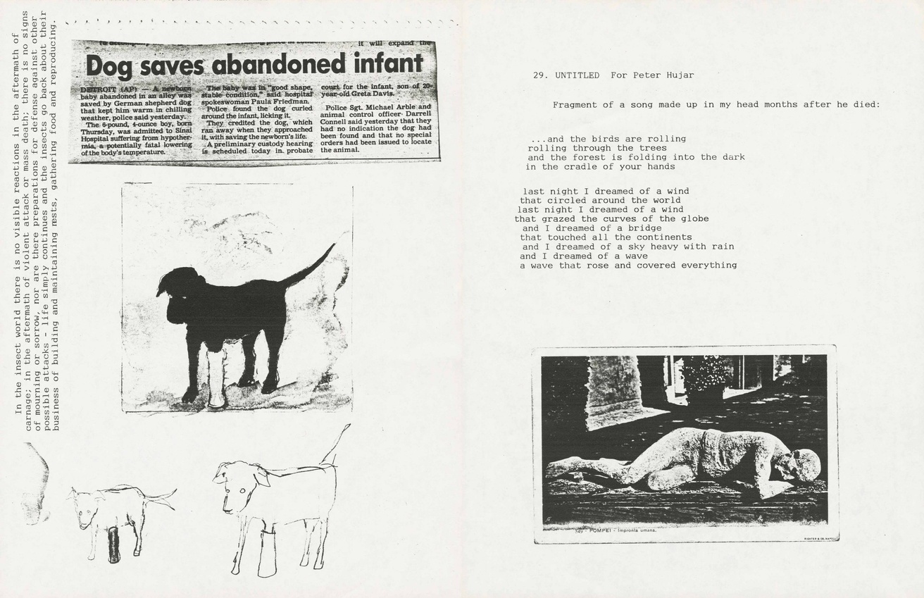 David Wojnarowicz: In the Shadow of Forward Motion thumbnail 8