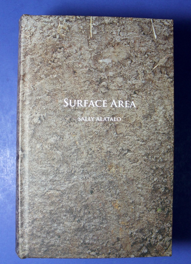 Surface Area