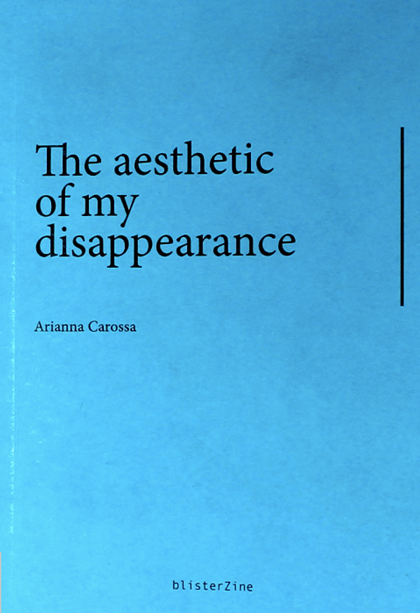 The Aesthetics of My Disappearance thumbnail 3