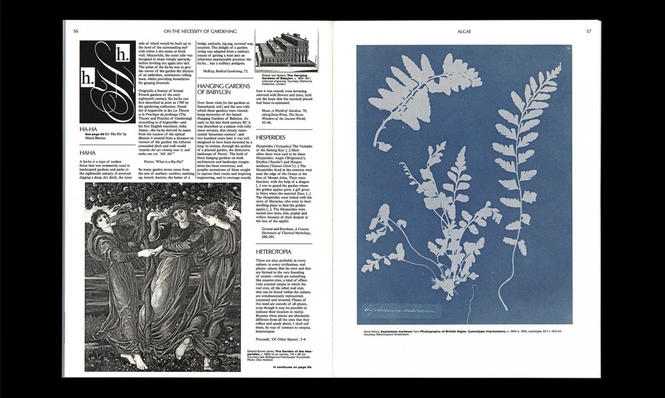 On The Necessity Of Gardening: An Abc Of Art, Botany And Cultivation thumbnail 3