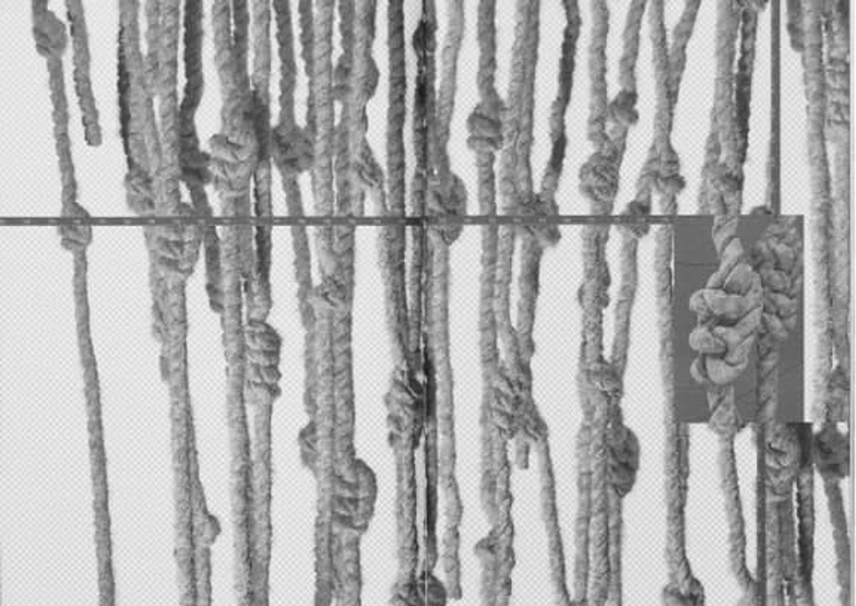 The Andean Information Age thumbnail 2
