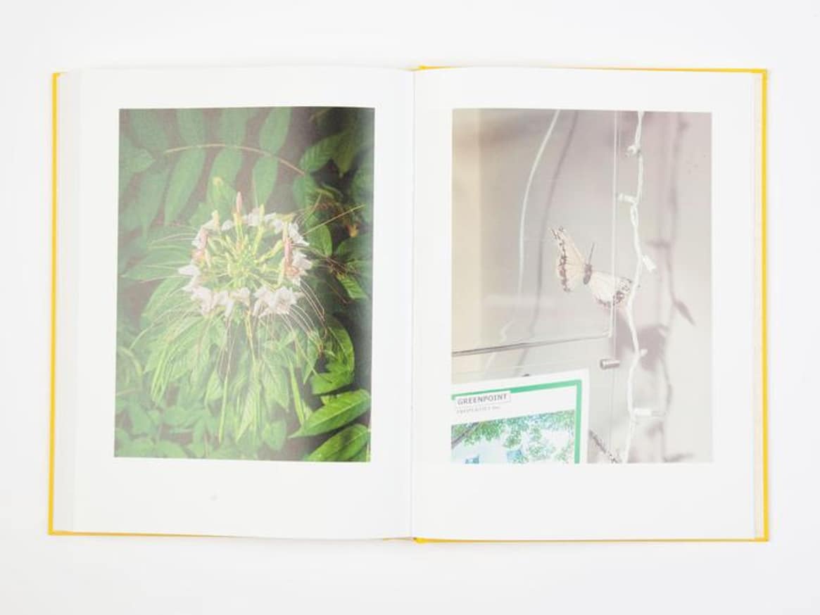David Brandon Geeting - Neighborhood Stroll - Printed Matter