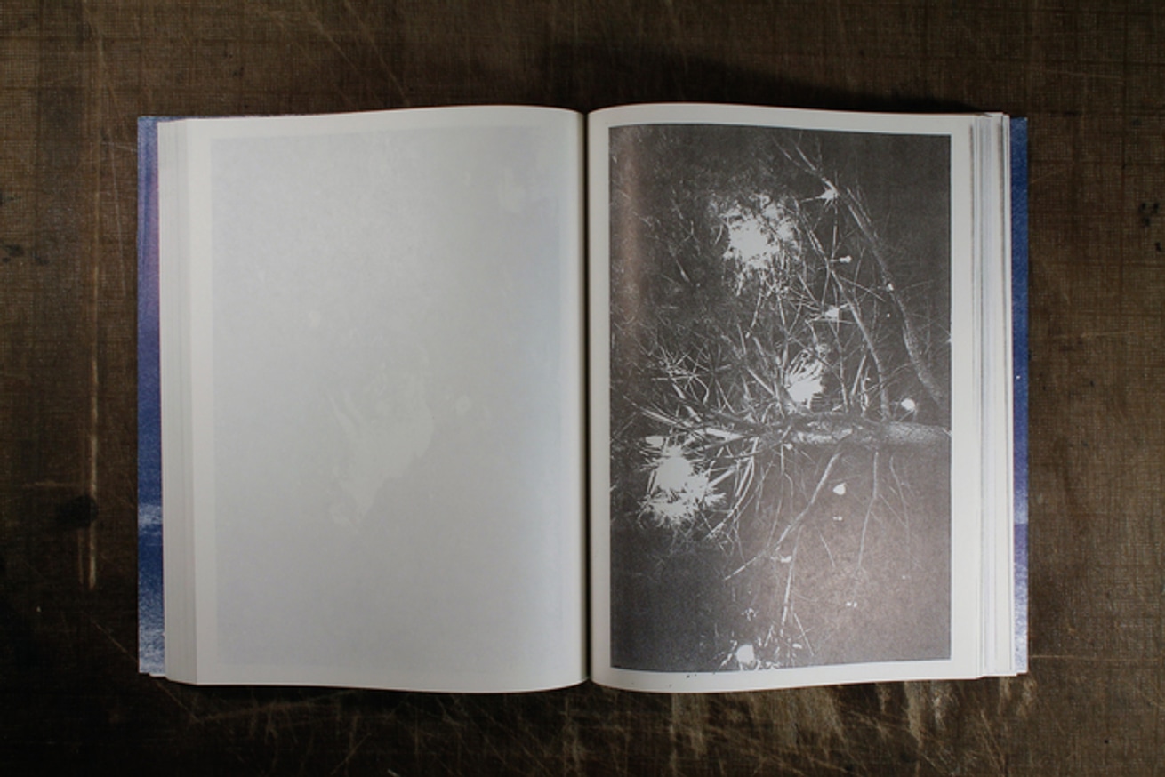 Christopher Wool - Absent without Leave - standard edition