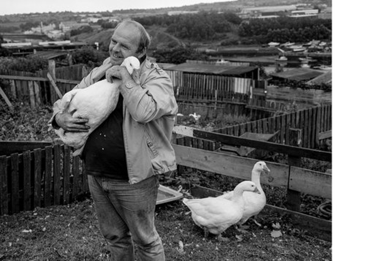 Allotments Newcastle upon Tyne 1992 thumbnail 2