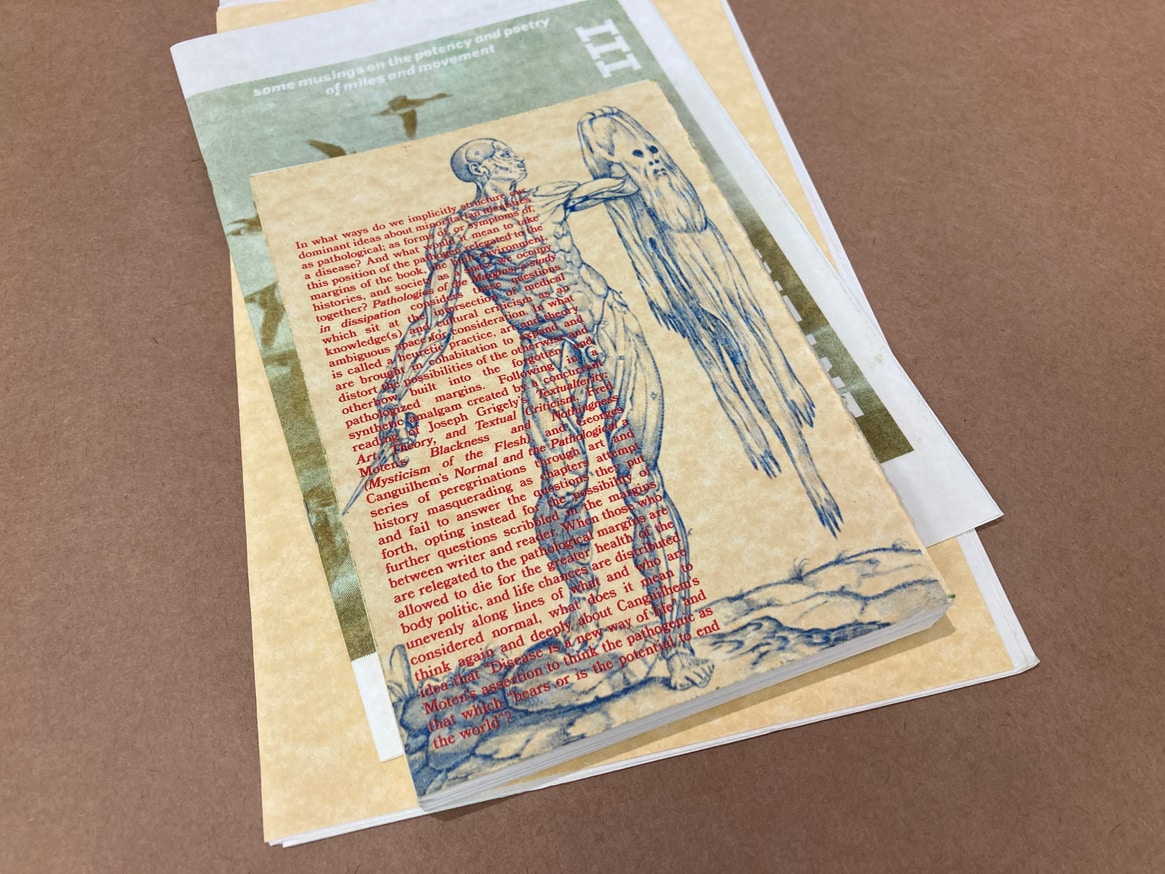 Evan Fusco - Pathologies of the Margins; a study in dissipation ...