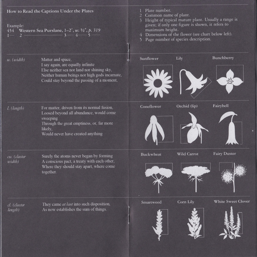 Drafts and Fragments thumbnail 3