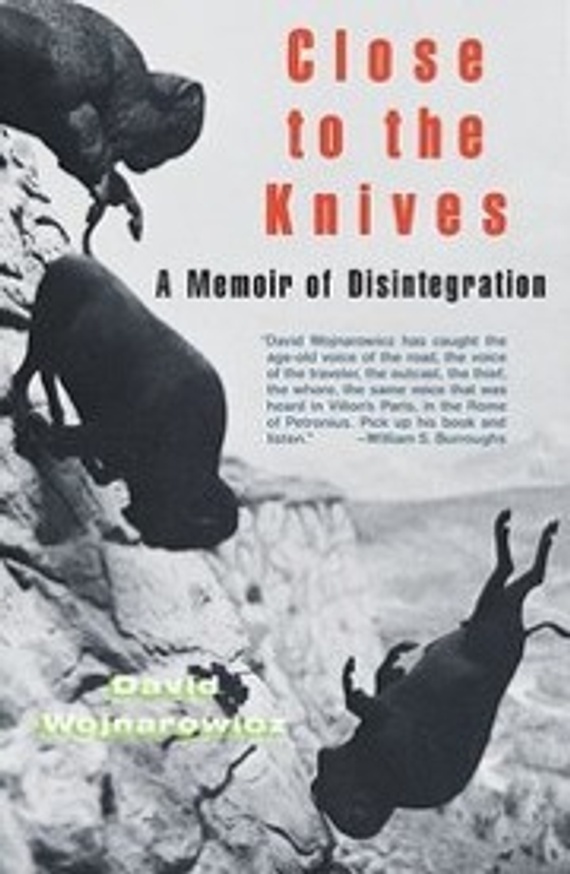  Close to the Knives : A Memoir of Disintegration