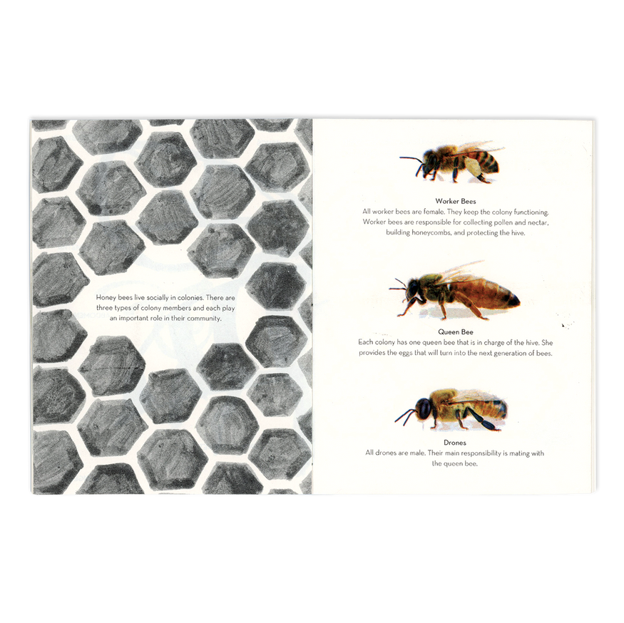 Honey Bees thumbnail 4