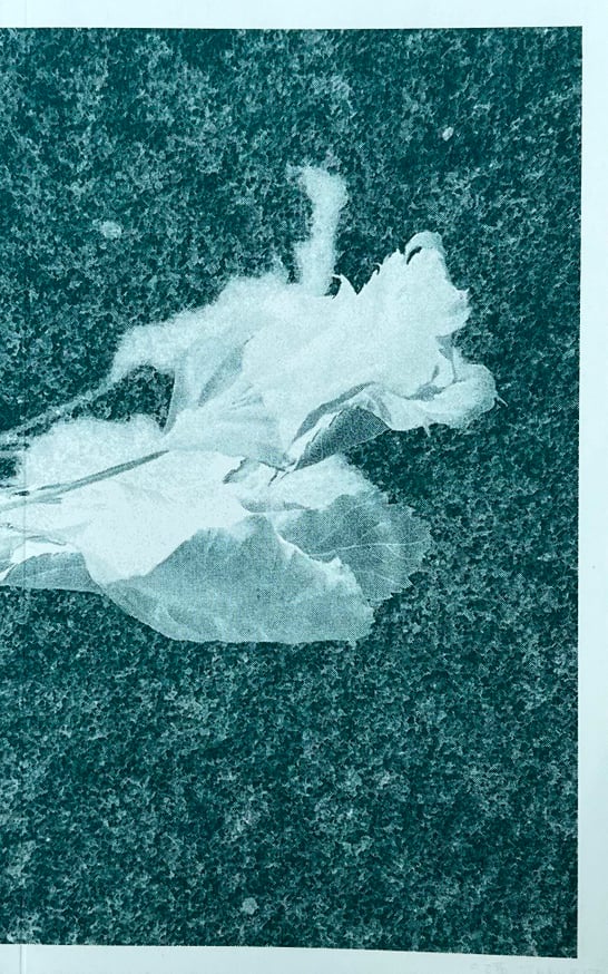 Tyler Rico - Hawthorn Meditation Spring 2022 - Printed Matter