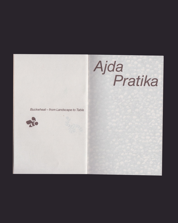 Ajda Pratika thumbnail 2