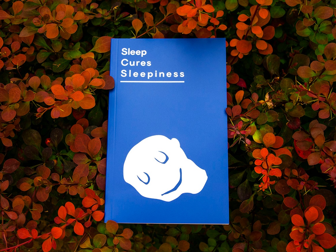 Sleep Cures Sleepiness
