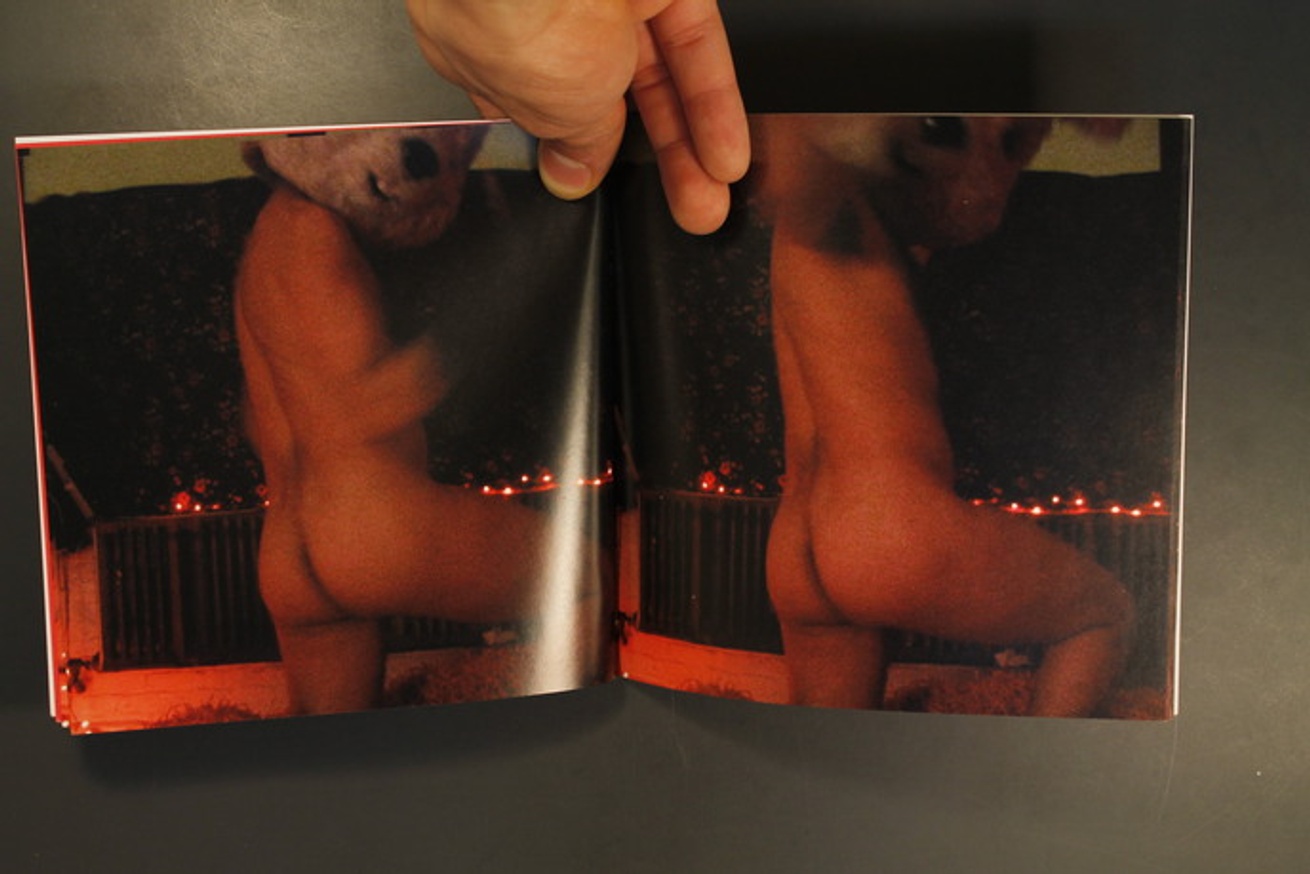 Pronflip - J. Morrison - Bunnyhead Porn: A Flip Fuck Book - Printed Matter