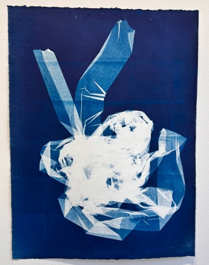 Dear Anna Atkins [Print] 3