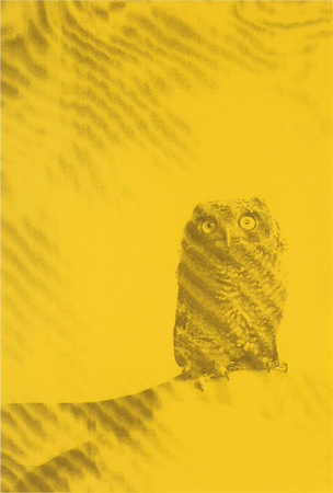 Ryan McGinley - Black Jack - Printed Matter