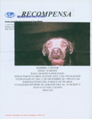 Se Busca Recompensa (Reward Wanted) 1998-2001