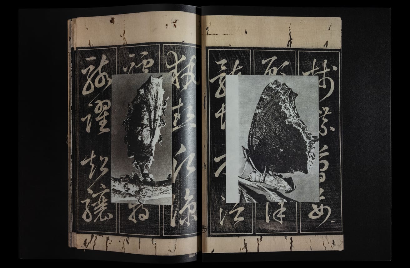 Claudio Pogo and Magdalena Wysocka - dead pages - Printed Matter