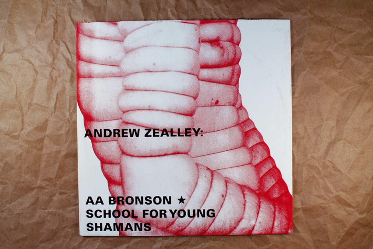 Andrew Zealley: AA Bronson's School For Young Shamans