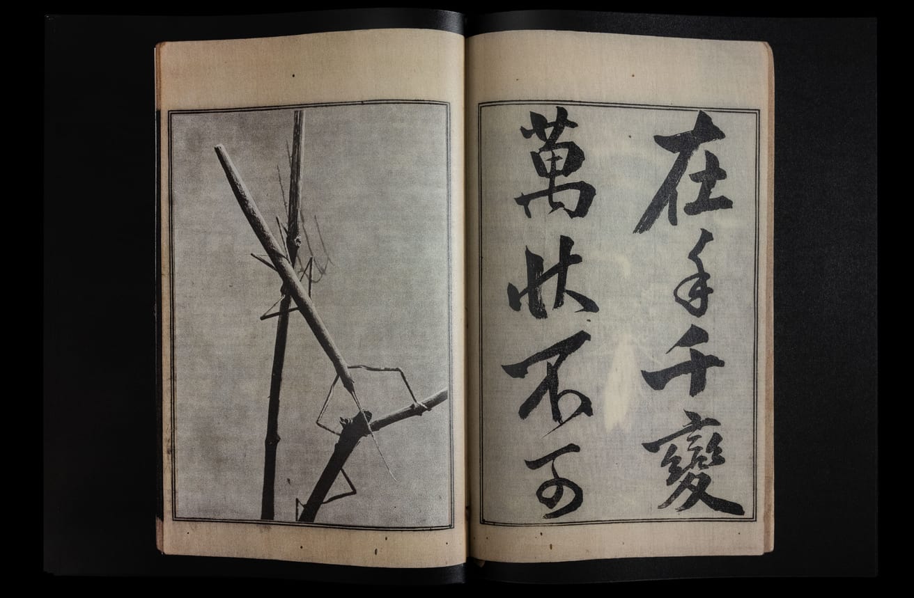 Claudio Pogo and Magdalena Wysocka - dead pages - Printed Matter