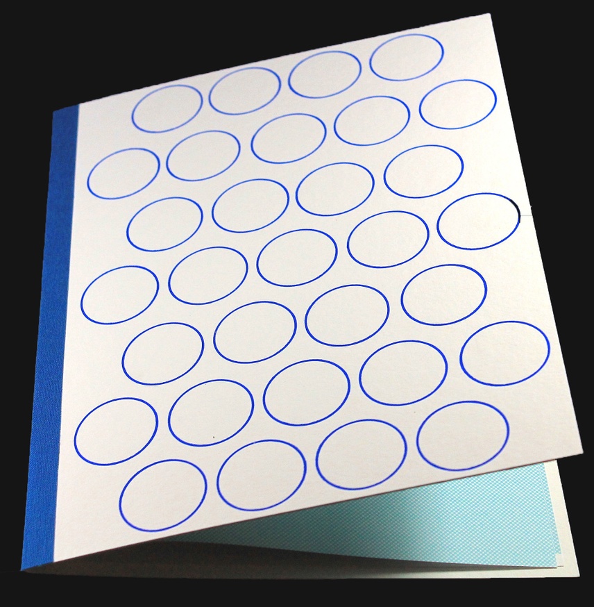 Dan Walsh - Blue Icons (Day Edition) - Printed Matter