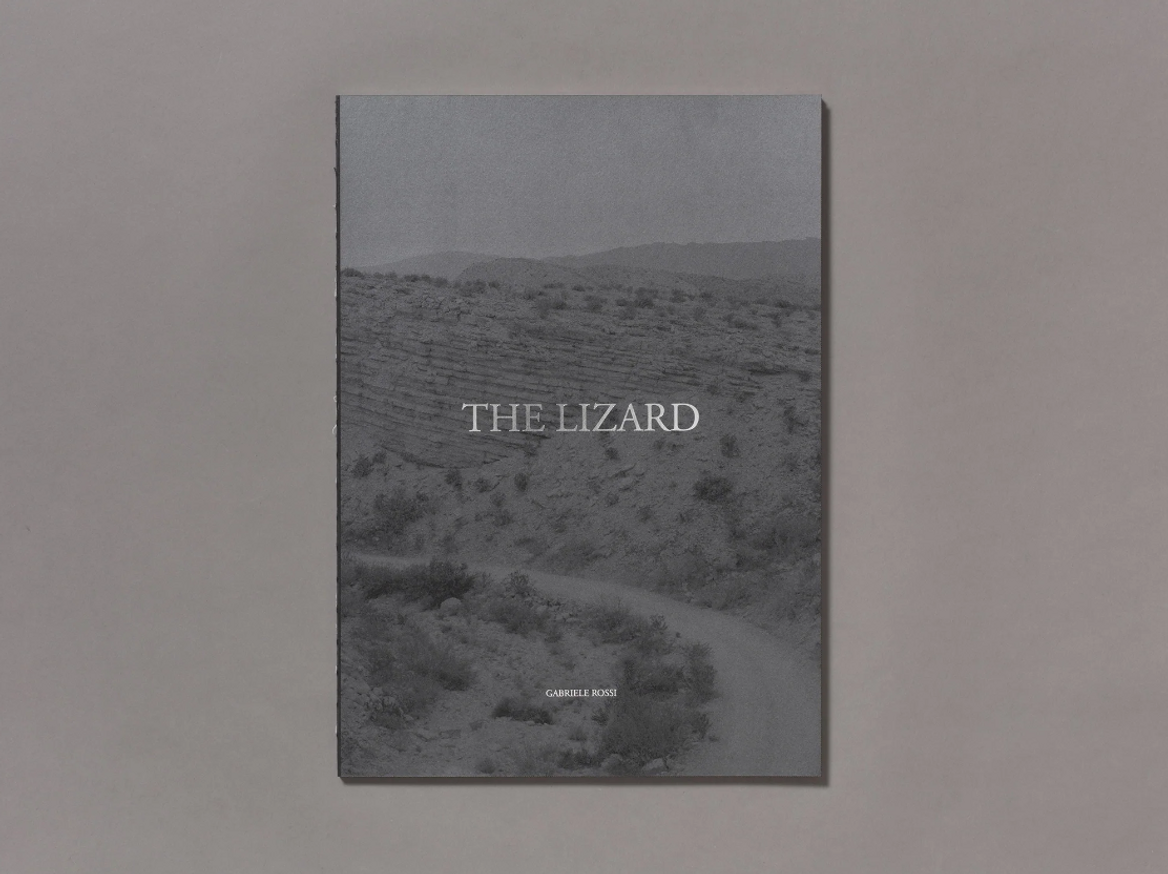 The Lizard