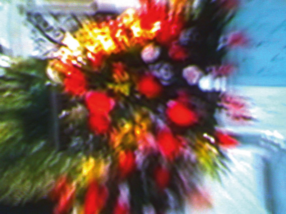 Television Flowers thumbnail 5
