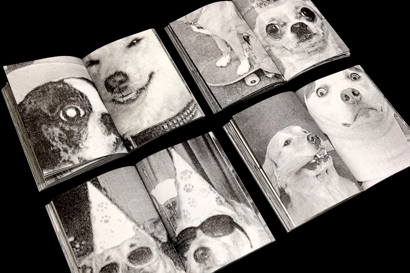 Perros Primos thumbnail 2