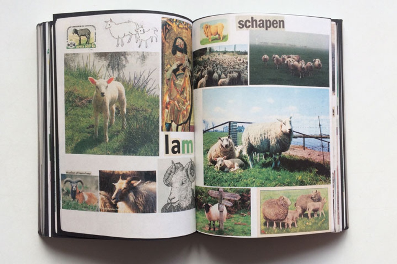 Animal Books For Jaap Zeno Anna Julian Luca [Reprint / New Cover] thumbnail 4