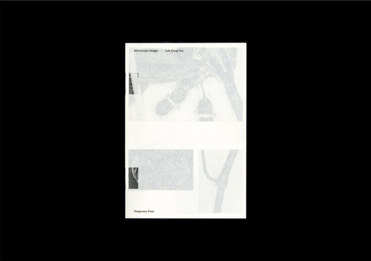 Loh Xiang Yun - Microscopic Images - Printed Matter