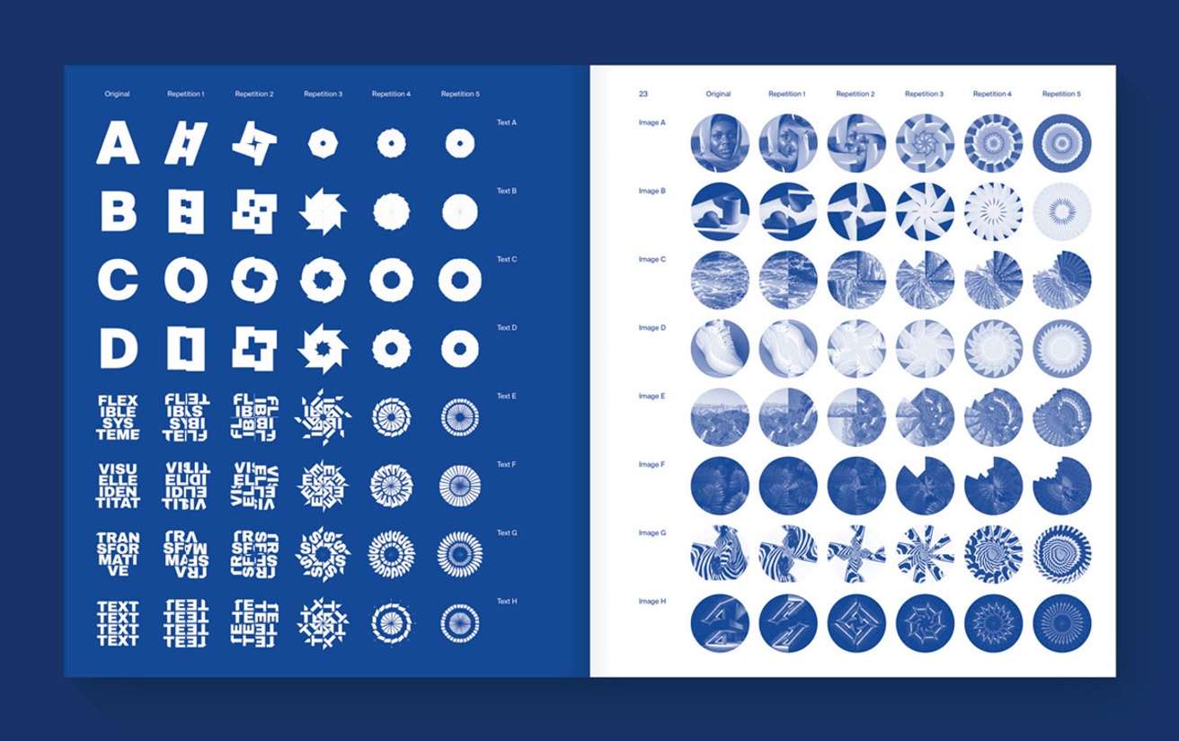 Flexible Visual Systems [Fourth Edition] thumbnail 6