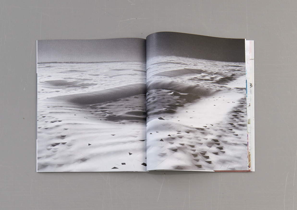 Benedikt Terwiel Feldbuch/Field Book Printed Matter